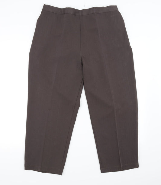 Womens UK Size 22 in Preworn Regular Fit Brown Trousers