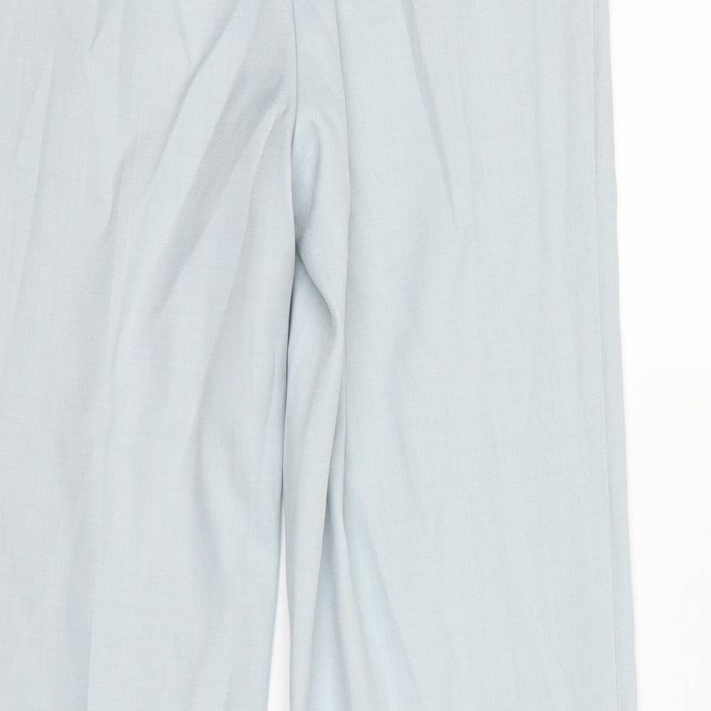 Classic Womens Blue Dress Pants Trousers Size 10 L27 in