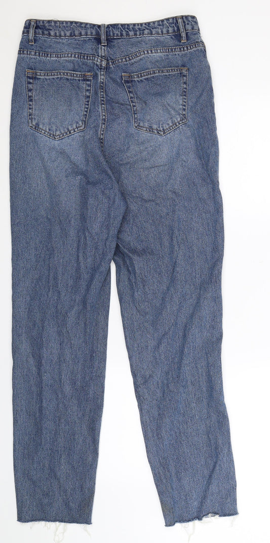 Riot Womens Blue Denim Mom Jeans Size 10 L29 in