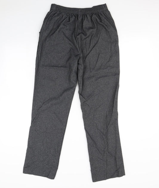 Pinns Womens Grey Dress Pants Trousers Size 14 L30 in