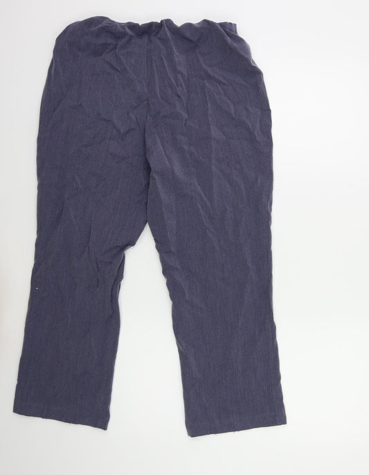 Classic Womens Blue Trousers Size 14 L23 in