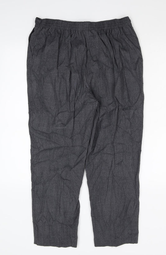 Classics Womens Grey Trousers Size 14 L29 in