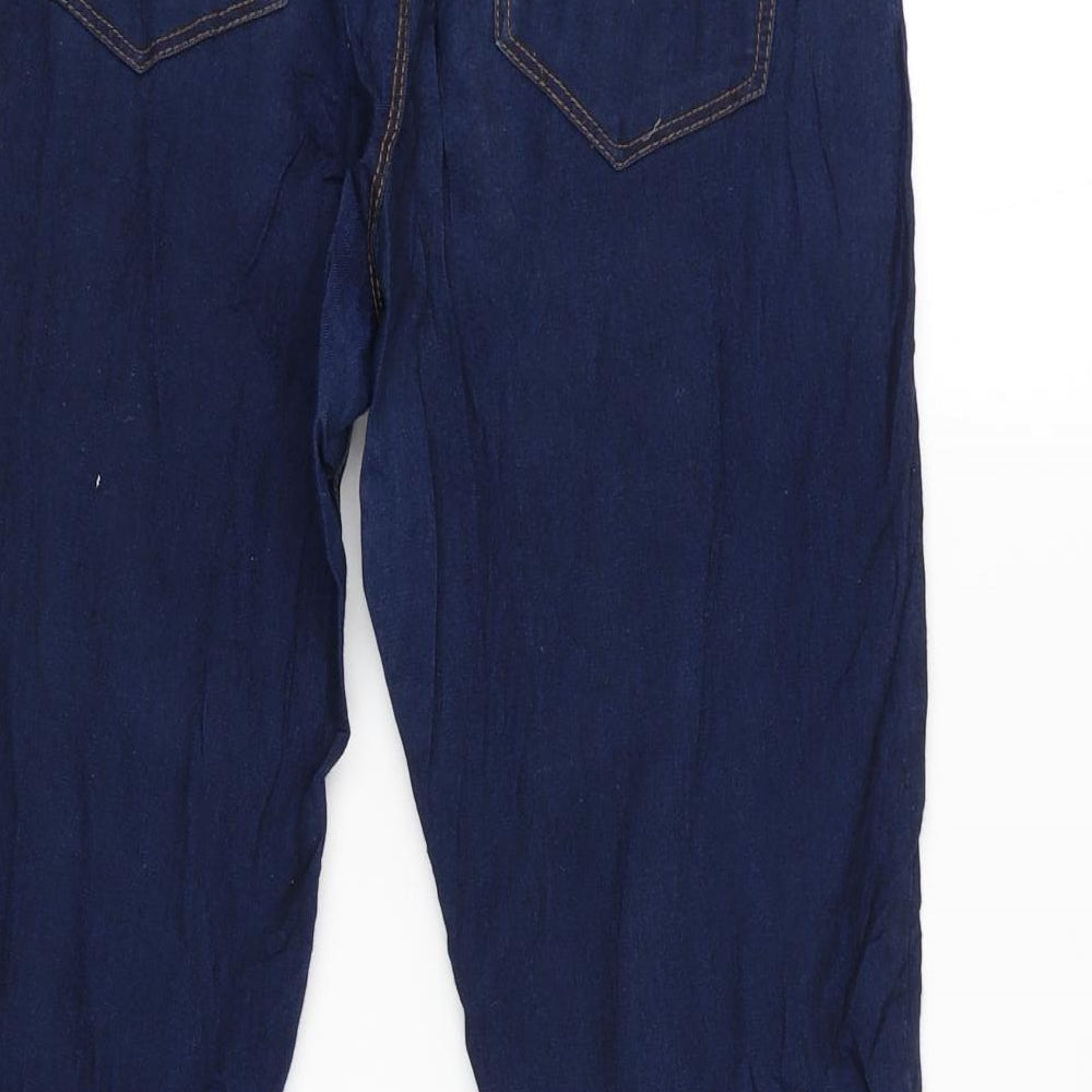 denim.co Womens Blue Straight Jeans Size 8 L27 in