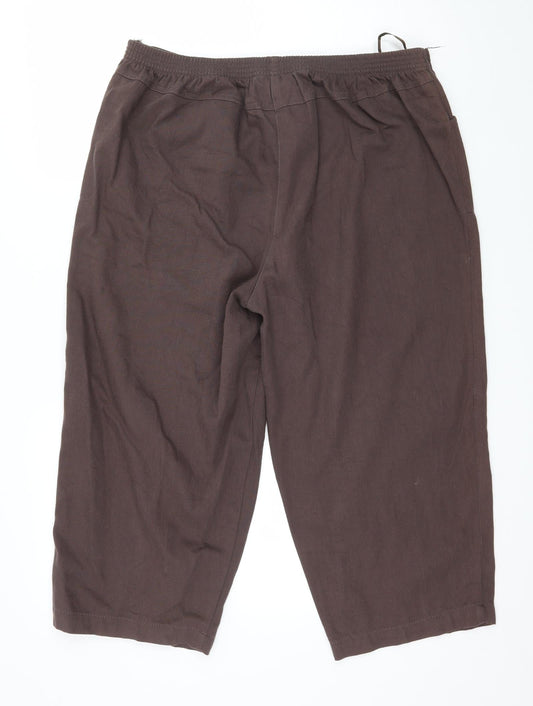 Classics Womens Brown Cropped Trousers Size 36 in L21 in