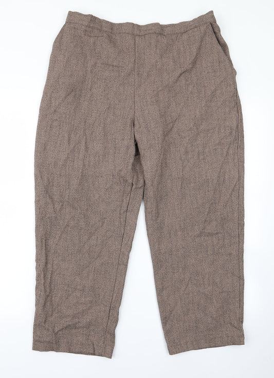 Womens UK Size 20 Autonomy Regular Fit Brown Trousers