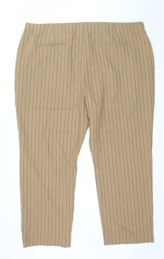 Autograph Womens Brown Striped Trousers Size 24 in L27 in