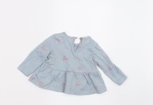Zara Girls Blue Floral A-Line Size 0-3 Months