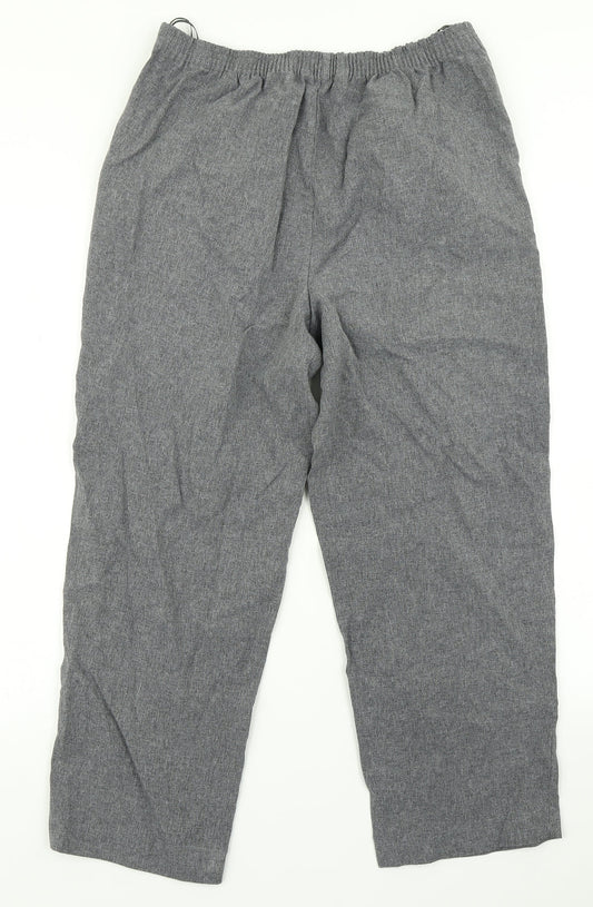 Bonmarché Womens Grey Dress Pants Trousers Size 10 L22 in