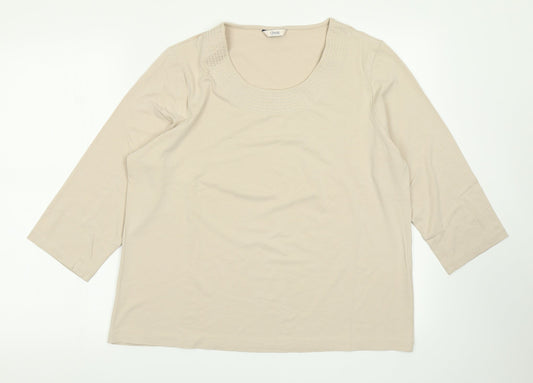 Womens UK Size 18 Classic Brown Basic T-Shirt