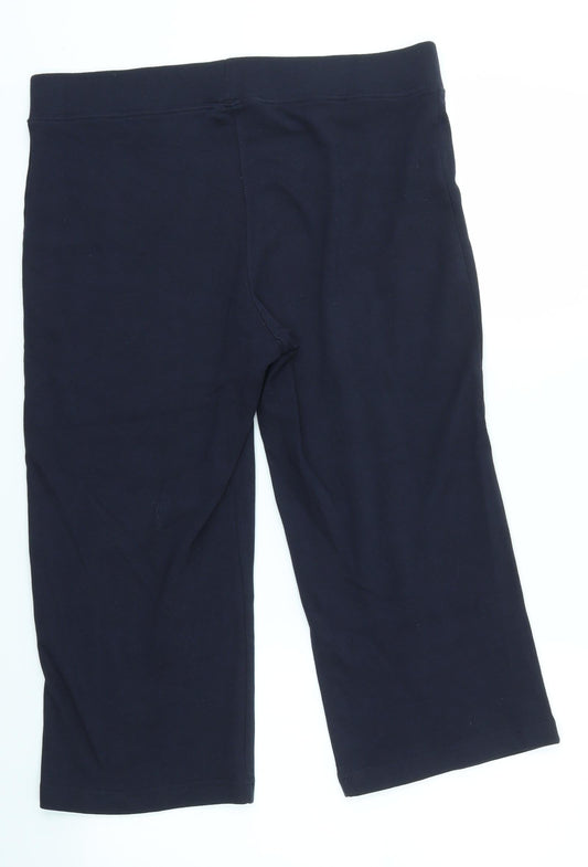 Papapya Womens Blue Sweatpants Trousers Size 14 L21 in