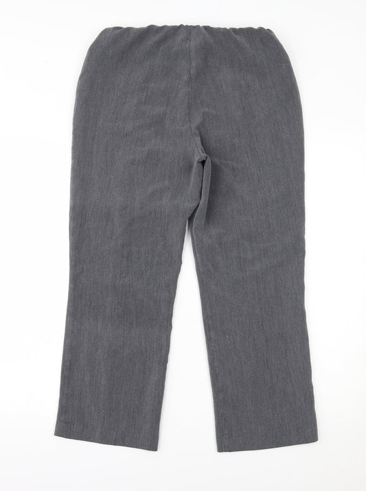 Classic Womens Grey Trousers Size 12 L25 in