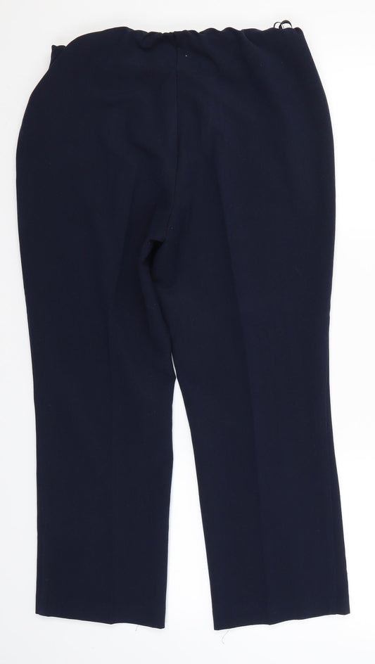 Sarah Hamilton Womens Blue Dress Pants Trousers Size 10 L24 in