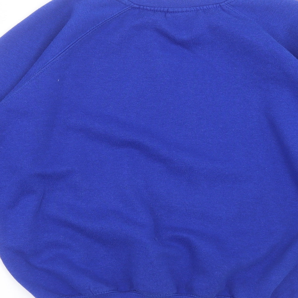westex Girls Blue Pullover Sweatshirt Size 12-13 Years - school