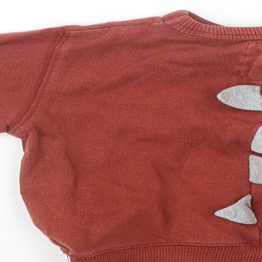NEXT Baby Brown Cotton Pullover Jumper Size 9-12 Months - Roar