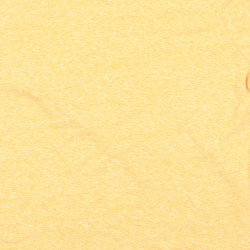 Primark Womens Yellow Polyester Basic T-Shirt Size M Round Neck