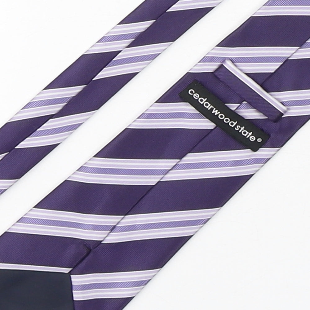Mens Cedar Wood State Purple Striped Pointed Tie