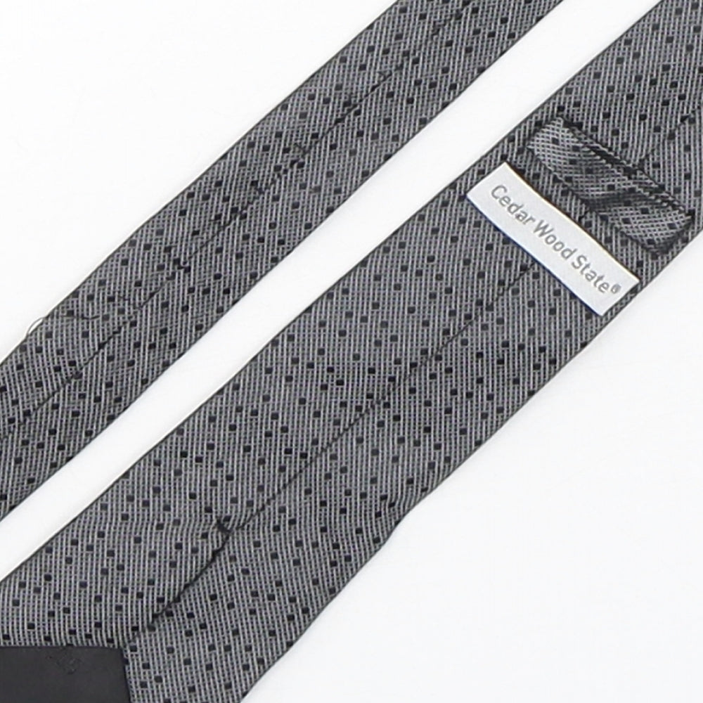 Mens Cedar Wood State Multicoloured Polka Dot Pointed Tie