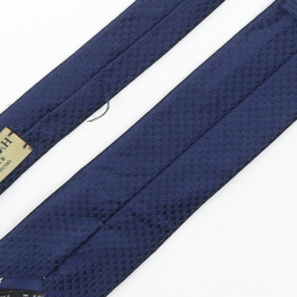 Hammond & CO Mens Blue Grenadine Silk Pointed Tie One Size