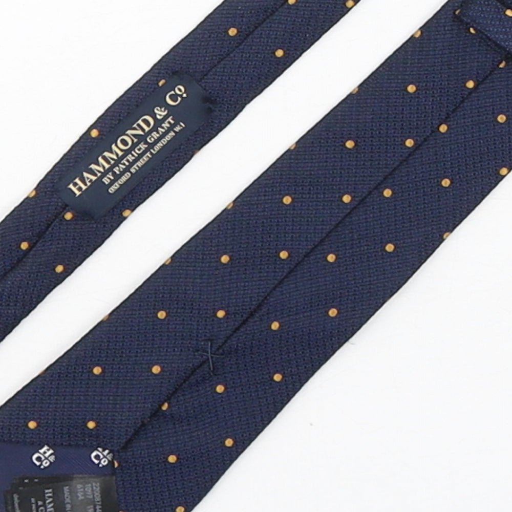 Hammond & CO Mens Blue Polka Dot Silk Pointed Tie One Size