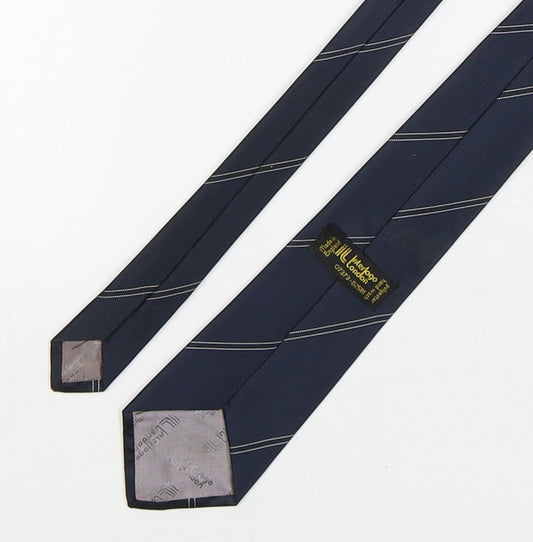 Interlogo London Mens Blue Striped Polyester Pointed Tie One Size
