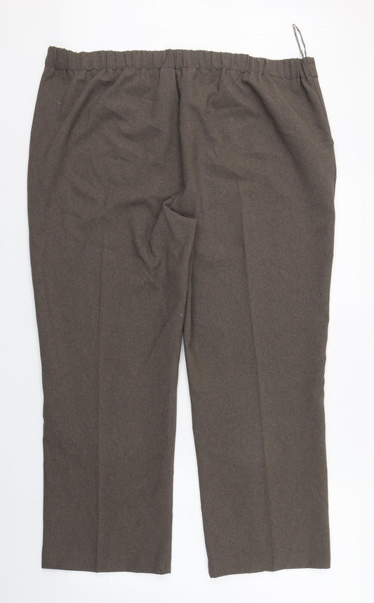 Bonmarché Womens Brown Polyester Dress Pants Trousers Size 20 L26 in Regular Zip