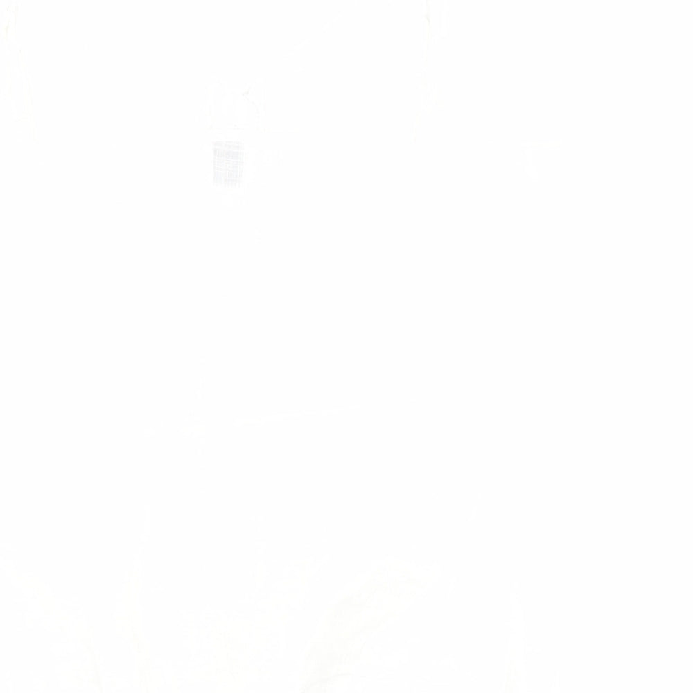 SheIn Womens White 100% Cotton Camisole Tank Size L V-Neck