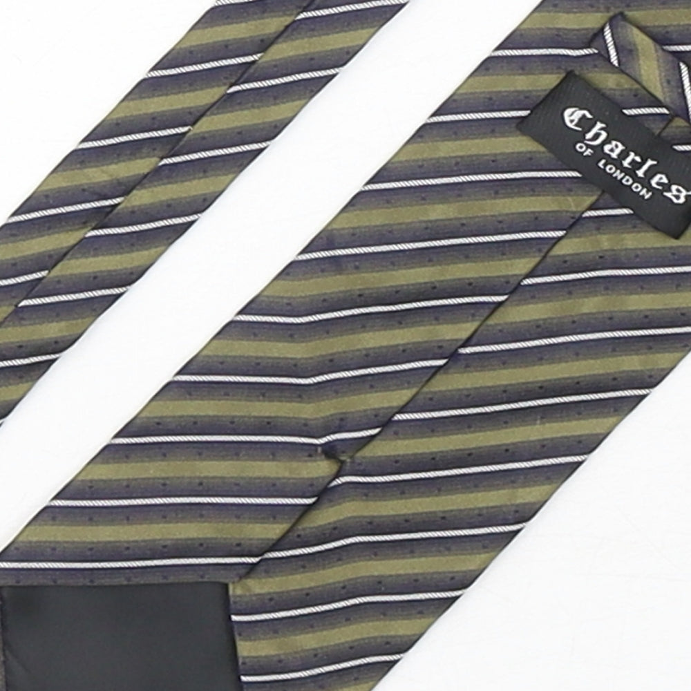 Charles Mens Multicoloured Striped Silk Pointed Tie One Size