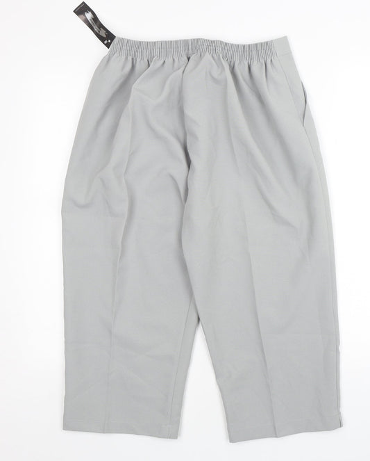 BodyWise Womens Grey Polyester Cropped Trousers Size 18 L20 in Regular