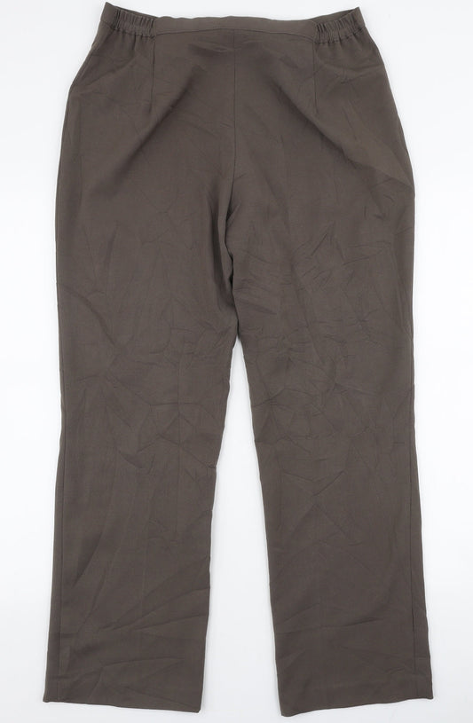 BASSINI Womens Brown Polyester Trousers Size 12 L28 in Regular Zip