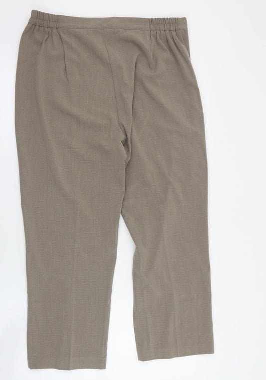 Classics Womens Brown Polyester Dress Pants Trousers Size 16 L26 in Regular Button