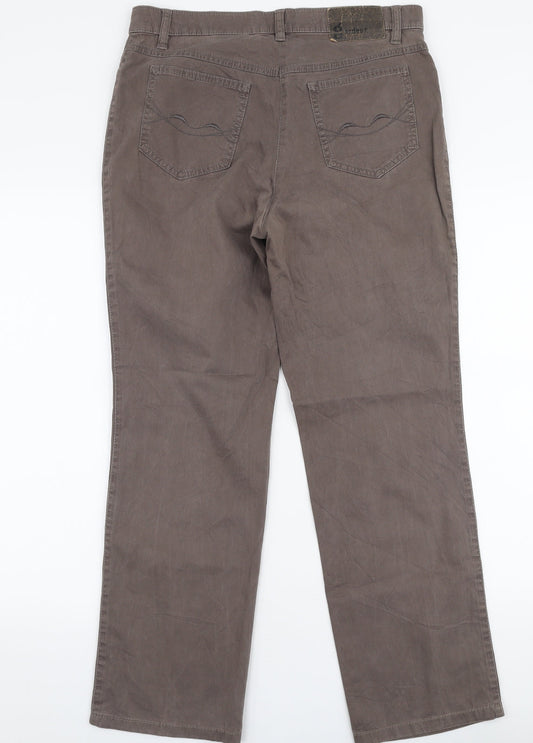 GARDEUR Womens Brown Polyester Trousers Size 31 in L28 in Regular Zip