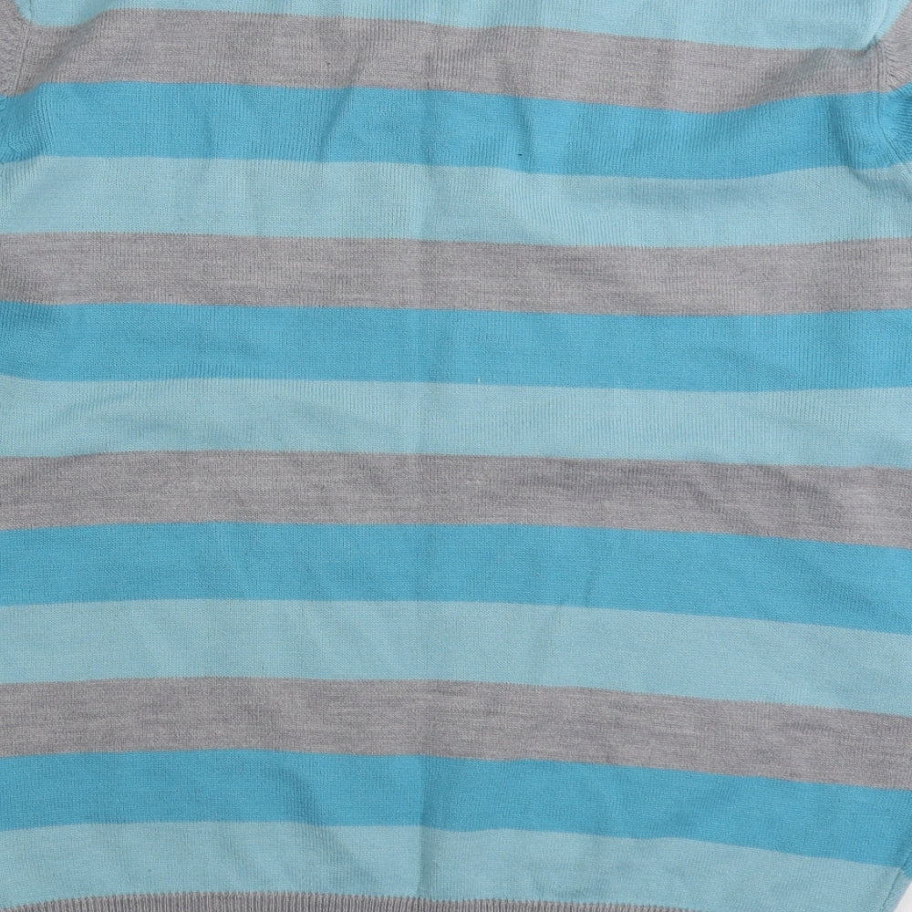 Cedar Wood State Mens Blue V-Neck Striped Viscose Pullover Jumper Size S