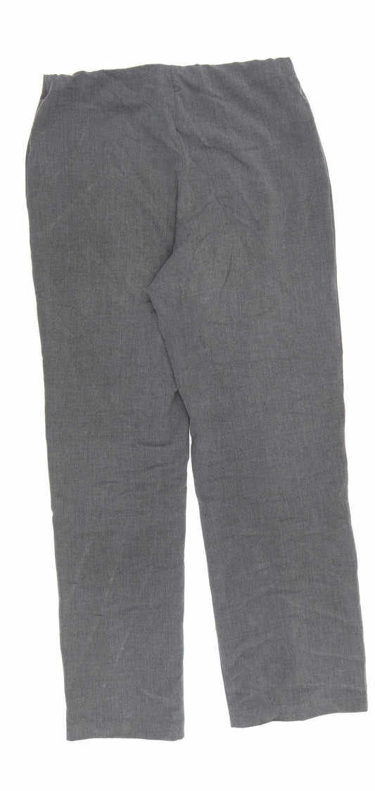 Autonomy Womens Grey Polyester Dress Pants Trousers Size 10 L27.5 in Regular