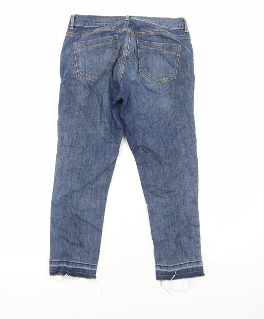 Dorothy Perkins Womens Blue Cotton Straight Jeans Size 10 Regular Zip