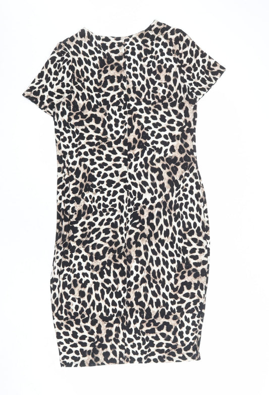 Dorothy Perkins Womens Multicoloured Animal Print Viscose Shift Size 14 Round Neck Pullover - Cheetah pattern