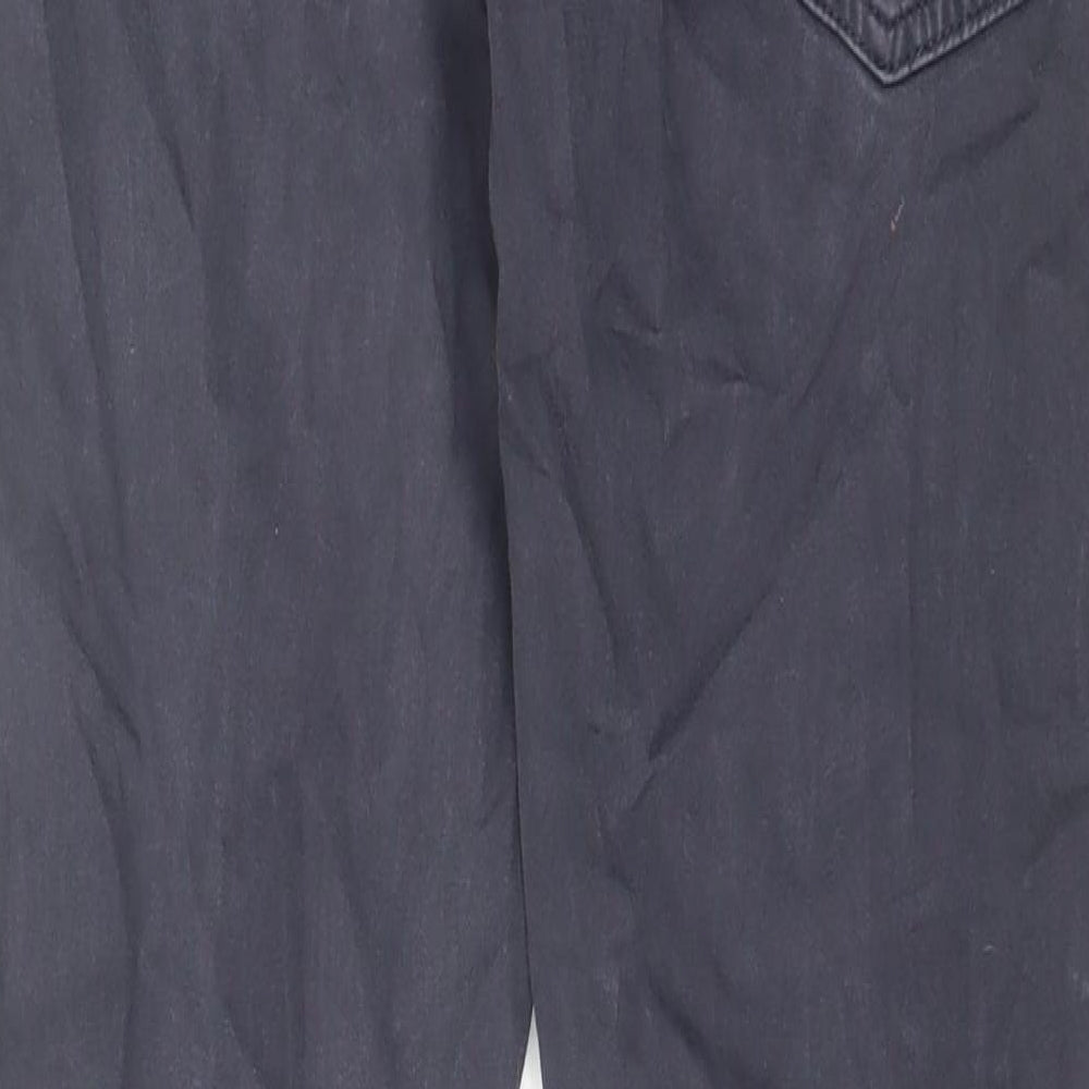 Adrianna Goldschmied Mens Blue Cotton Skinny Jeans Size 30 in L32 in Regular Zip