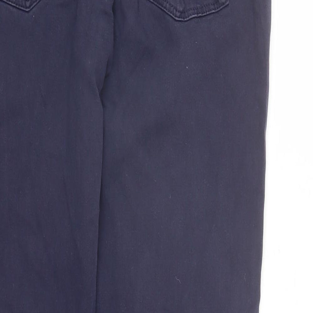 AG Adriano Goldschmied Mens Blue Cotton Skinny Jeans Size 30 in L29 in Regular Zip