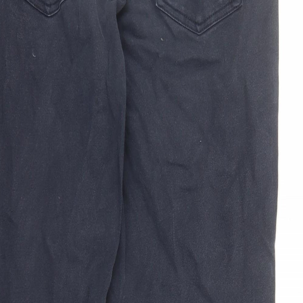 Armando Mens Blue Cotton Straight Jeans Size 30 in L28 in Regular Button