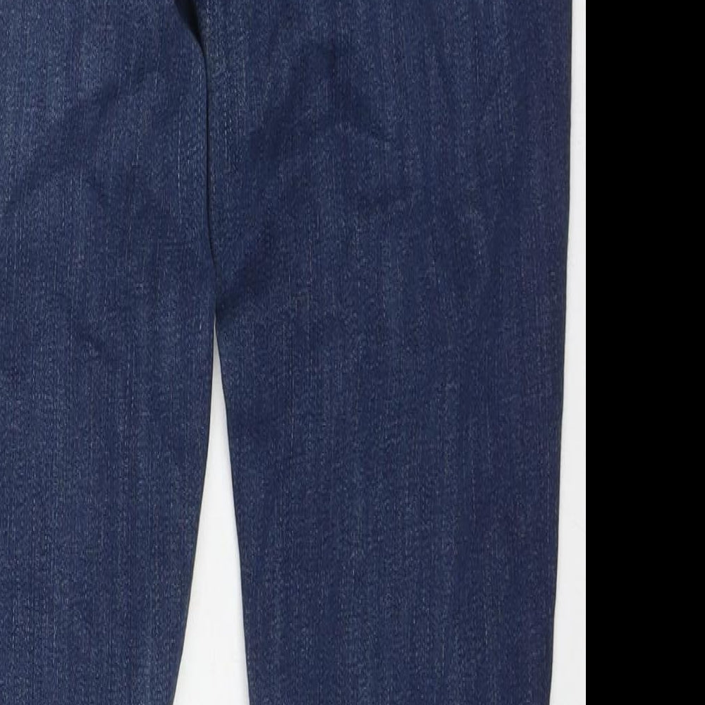 Madewell Womens Blue Cotton Skinny Jeans Size 28 in L28 in Regular Zip