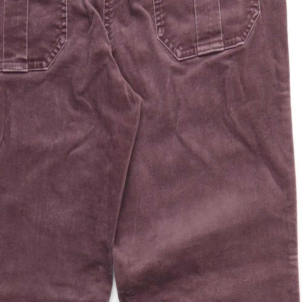 Womens UK Size 12 Maine Regular Fit Purple Trousers