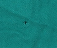 Alexon Women's Green Wool Coat Size 14