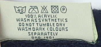 Champion Men's Blue L Pullover Jumper