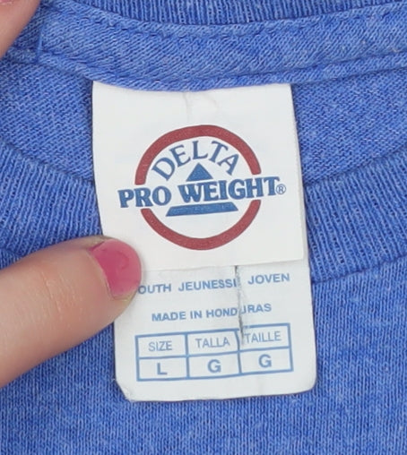 Delta Pro Weight Boys Blue Washington DC Graphic T-Shirt L