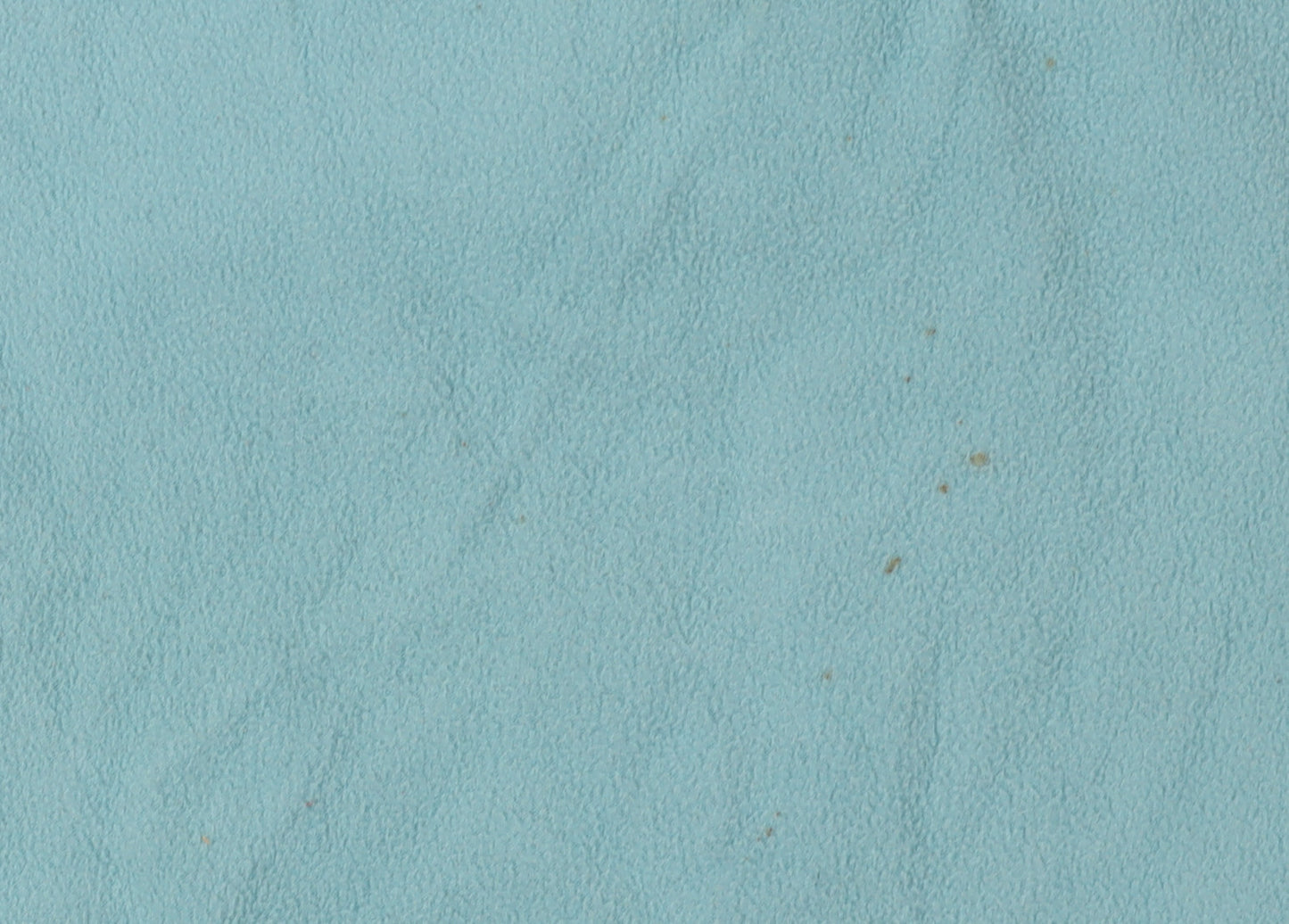 Champion Women's Blue Fleece Sweatshirt Size XL