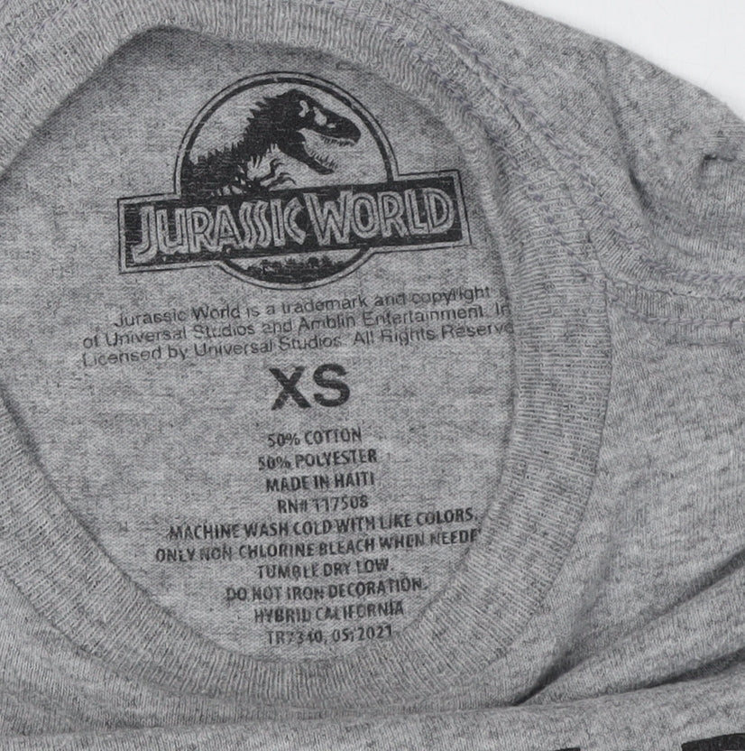 Boys Jurassic World Grey Graphic T-Shirt XS