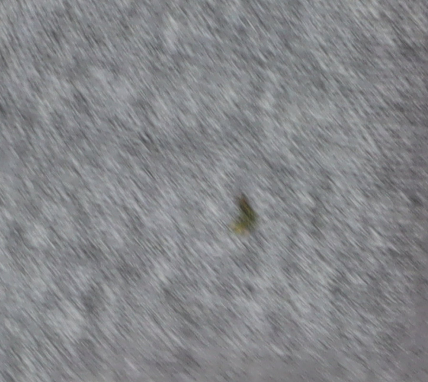 Clements Ribeiro Women's Grey Star Cardigan XL