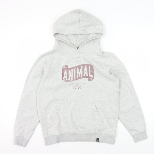 Animal Boys Grey Hoodie, 11-12 Years, Cotton Pullover