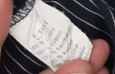 Lacoste Men's Blue Striped Long-Sleeve Polo Shirt