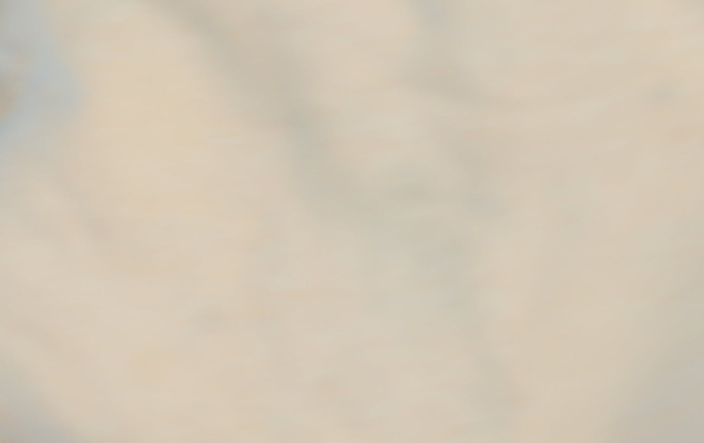 Nike Unisex Beige Hoodie L