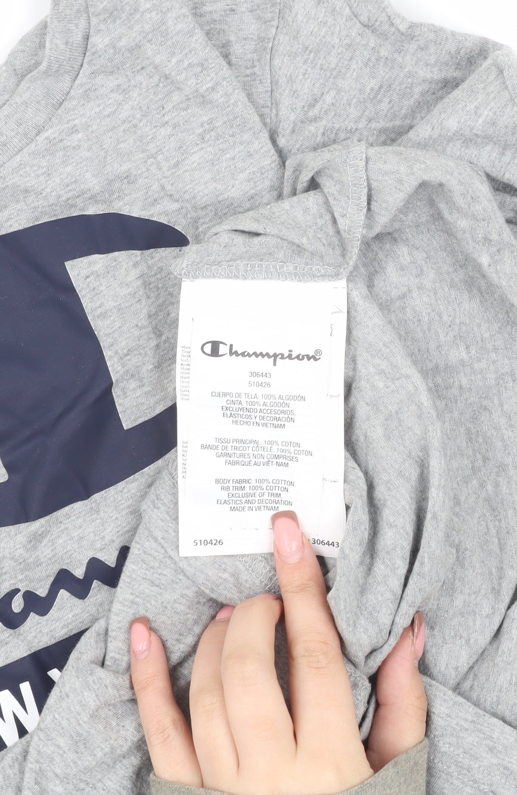 Champion Boys Grey Graphic Long Sleeve T-Shirt Size L